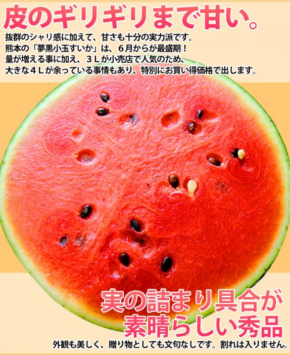 送料無料》 熊本県産「夢黒小玉すいか」4L×1玉 1箱 秀品 約3kg frt