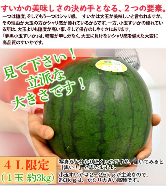 0272茨城県産黒小玉スイカ秀品4Lサイズ以上1箱4玉入り 0272茨城県産黒小玉スイカ秀品4Lサイズ以上1箱4玉入り - メルカリ