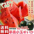 夢黒小玉すいか 熊本県産 4L×2玉 秀品 合計約6kg ※冷蔵 送料無料 すいか スイカ