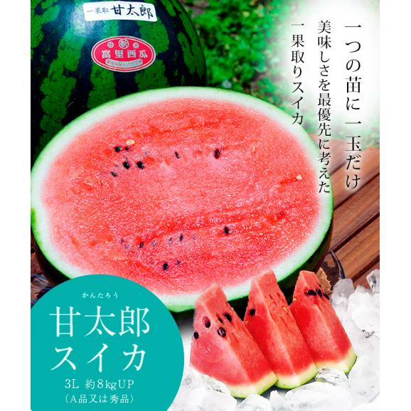 新入荷 超希少特大粒秀品 高級採れたて 新鮮生ブルーベリー 数量