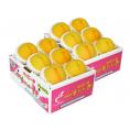 『伊達の黄桃』福島県産 秀品 約1.5kg （5～8玉）×2箱 産地箱 ※常温 送料無料