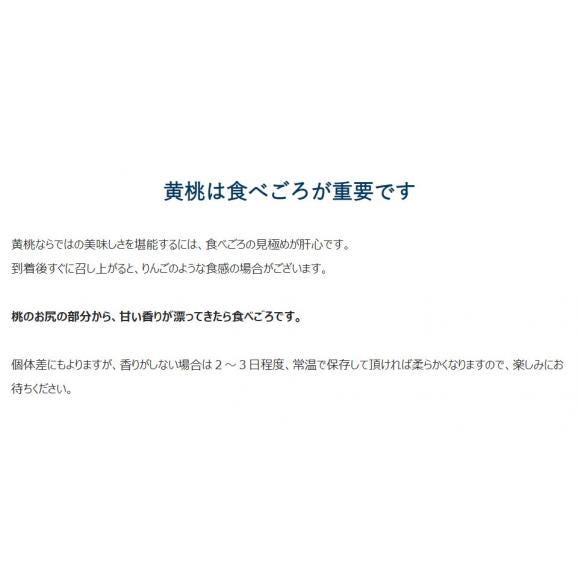 『伊達の黄桃』福島県産 秀品 約1.5kg （5～8玉）×2箱 産地箱 ※常温 送料無料03