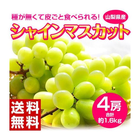 シャインマスカット』 山梨県産 4房 計約1.6kg 簡易箱 ぶどう ※冷蔵 送料無料｜豊洲からの直送便の通販・お取り寄せなら【ぐるすぐり】