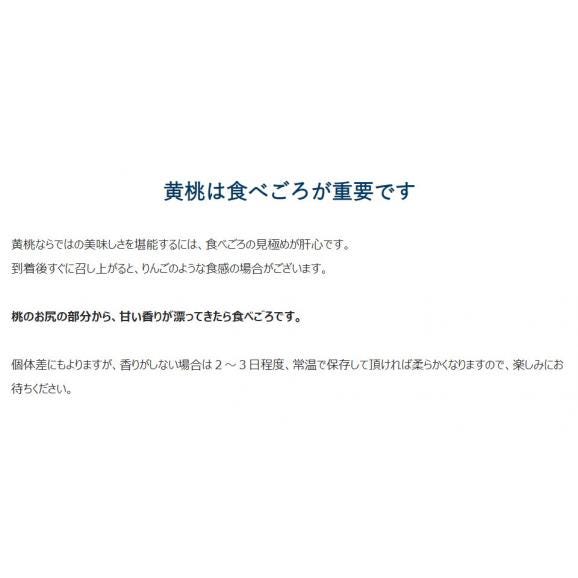 伊達の黄桃 福島県産 秀品以上 大玉 計約2.3kg (6〜8玉) 簡易箱 ※冷蔵　送料無料  桃 黄桃03