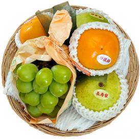 【敬老の日ギフト】長生きフルーツバスケット 国産 梨・柿・葡萄 3種5品 ※冷蔵 送料無料