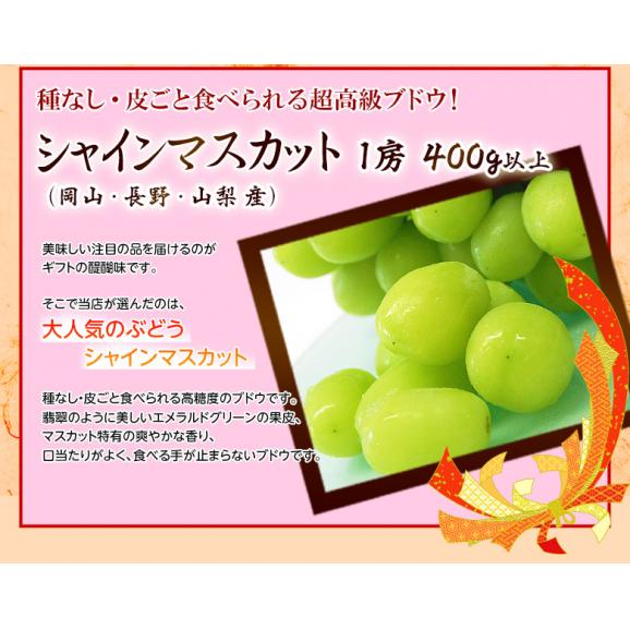 【敬老の日ギフト】長生きフルーツバスケット 国産 梨・柿・葡萄 3種5品 ※冷蔵 送料無料06