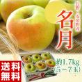 りんご リンゴ 林檎 長野県 安曇野産 名月 1箱 約1.7kg (5～7個入）送料無料