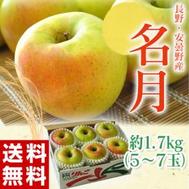 りんご リンゴ 林檎 長野県 安曇野産 名月 1箱 約1.7kg (5～7個入）送料無料