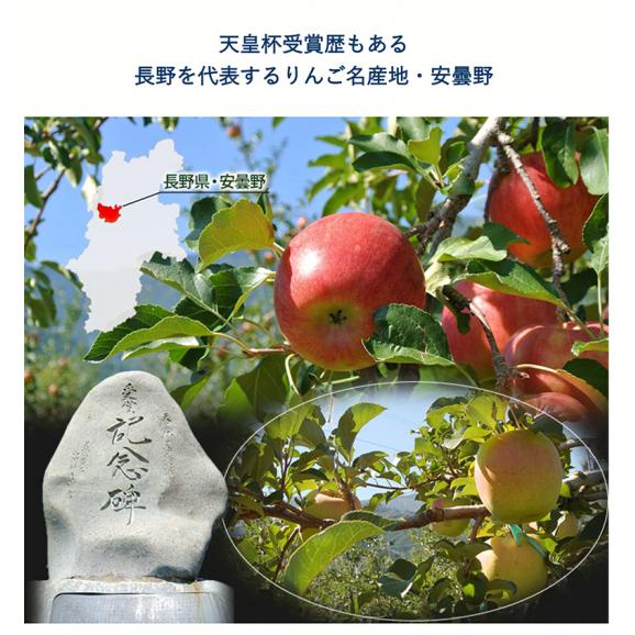 りんご リンゴ 林檎 長野県 安曇野産 名月 1箱 約1.7kg (5～7個入）送料無料04