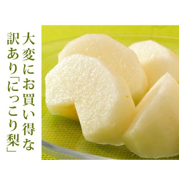 にっこり梨　栃木県産 約5kg 大玉 5～12玉 ご自宅用 （外皮傷あり、変形果） ※常温　送料無料02