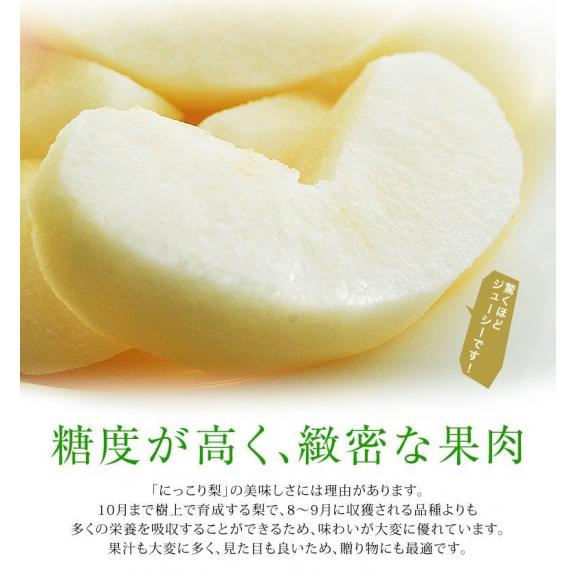 にっこり梨　栃木県産 約5kg 大玉 5～12玉 ご自宅用 （外皮傷あり、変形果） ※常温　送料無料05