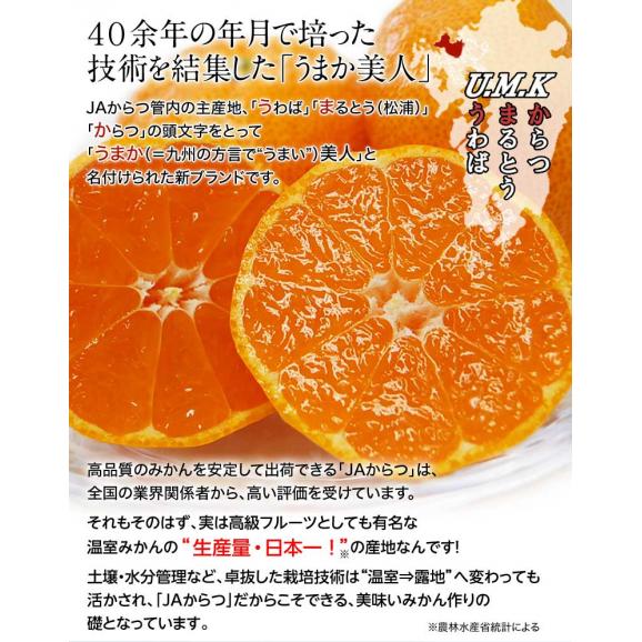 佐賀県産みかん JAからつ うまか美人 超小粒(2S～3S) 約5kg 目安として80～120個程度 ※常温 送料無料　※生育状況によってはSサイズで出荷05