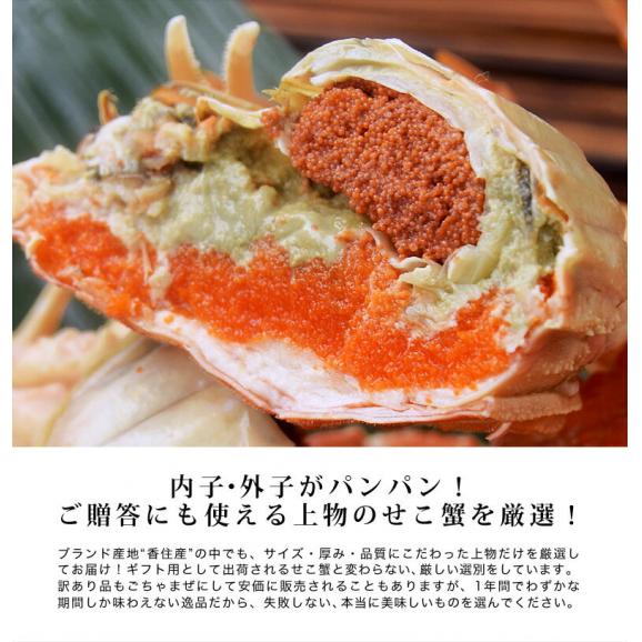 浜茹でせこ蟹　兵庫県香住産 5尾入り （ボイル済み1尾：約110g～120g）※冷凍 送料無料04