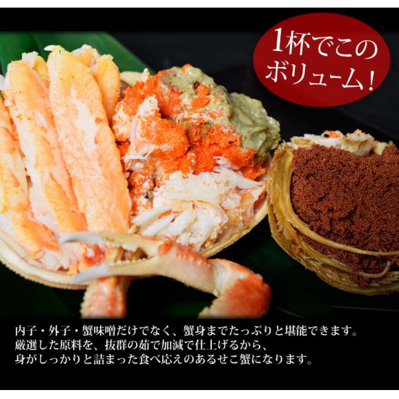 浜茹でせこ蟹　兵庫県香住産 5尾入り （ボイル済み1尾：約110g～120g）※冷凍 送料無料06
