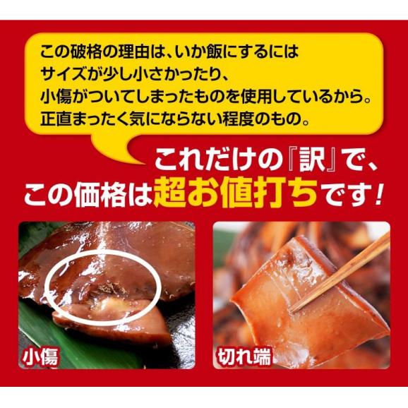 いか 訳あり 総菜 送料無料 北海道加工 いか飯になれなかったイカ 125g × 5パック 　【ネコポス】【同梱不可】【代引き不可】04