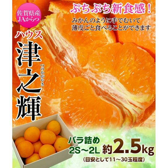 JAからつ『津之輝（つのかがやき）』佐賀県産柑橘　2S～2Lサイズ　風袋込約2.5kg（11～30玉） 簡易包装　※常温03