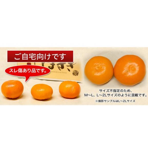 はまさき（ご家庭用）』佐賀県JAからつ産 柑橘 品種：麗紅