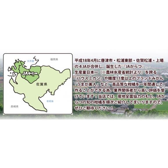 『はまさき（ご家庭用）』佐賀県JAからつ産 柑橘 品種：麗紅 サイズ不揃い 約2.5kg 簡易箱 ※常温 送料無料06