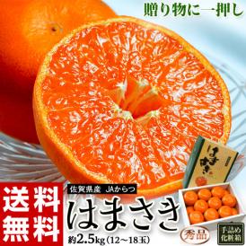 はまさき JAからつ 佐賀県産 秀品 約2.5kg（12〜18玉）化粧箱 ※常温 送料無料