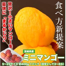 マンゴー 宮崎県産 ミニマンゴー S～2Sサイズ 約400g 1パック（目安として3～8玉） 常温 送料無料