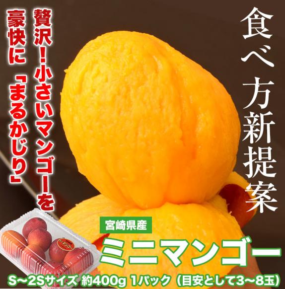 宮崎県産ミニマンゴー　約2キロ 宮崎県産ミニマンゴー 2キロ