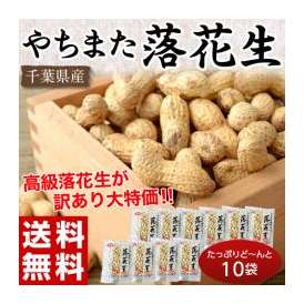 《送料無料》千葉県八街産　殻付き落花生　90g×10袋　　※常温　○