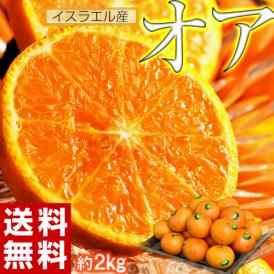 高糖度で手で簡単に皮をむけるオレンジ「オア」