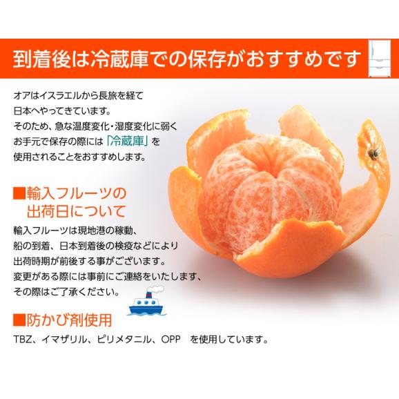 『オア』 イスラエル産オレンジ 約2kg 簡易包装 (15〜25玉前後入り） ※冷蔵 送料無料06