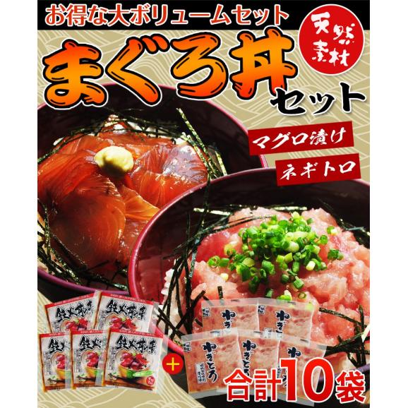『まぐろ丼　10食セット』 (鉄火丼×5袋、ネギトロ×5袋)　※冷凍02
