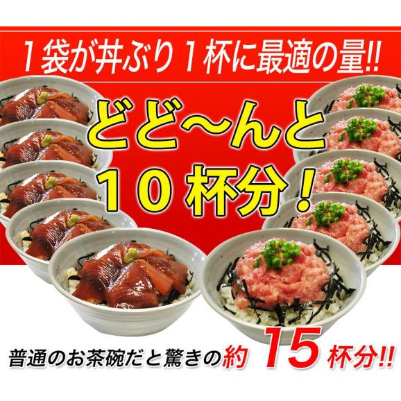 『まぐろ丼　10食セット』 (鉄火丼×5袋、ネギトロ×5袋)　※冷凍06