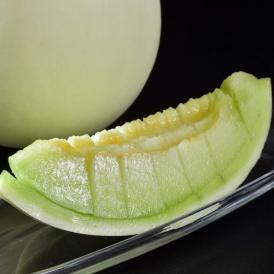 ホームビレンス メロン 青森県産  つがりあんメロン 秀品 1玉 約1.5kg 産地箱 ※常温 送料無料