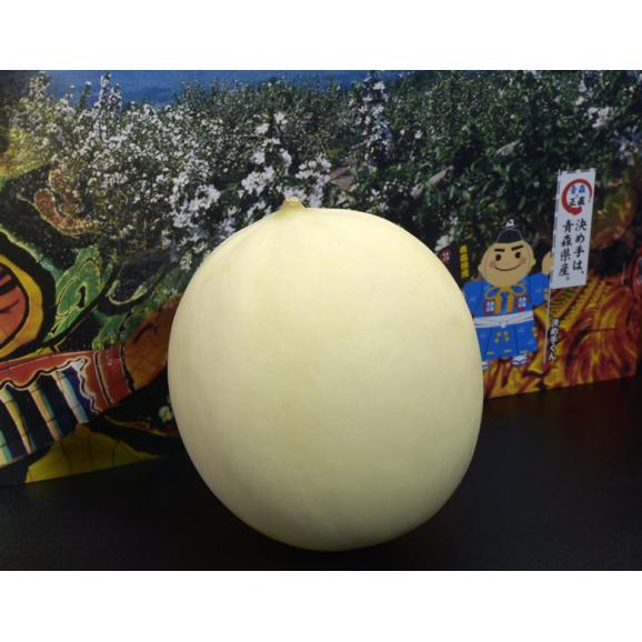 ホームビレンス メロン 青森県産  つがりあんメロン 秀品 1玉 約1.5kg 産地箱 ※常温 送料無料04