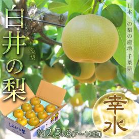 しろいの梨（品種：幸水） 千葉県白井市産 約2.5kg（7～10玉）産地箱 ※冷蔵 送料無料