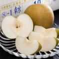 しろいの梨 （幸水） 千葉県白井市産 約3kg （7〜10玉） 産地箱 ※冷蔵 送料無料