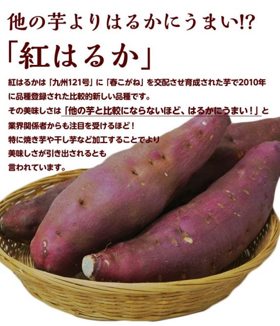 茨城県産　紅はるか　干し芋　10キロ 2025年10月頃から順次発送開始】茨城県産 干し芋 紅はるか 240g x3袋