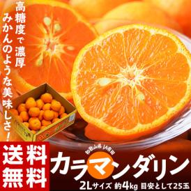 和歌山県 有田産 『カラマンダリン』 秀～優品 2Lサイズ 約4kg 目安として25玉 産地箱 ※常温 送料無料