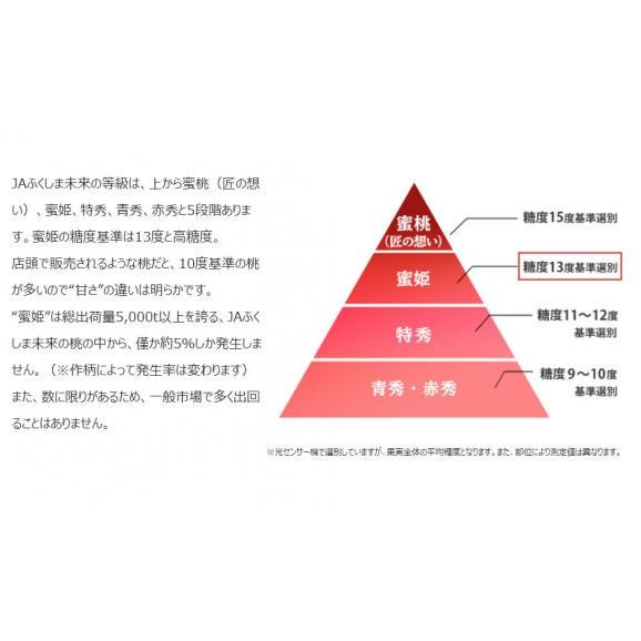 福島県産　伊達の桃「蜜姫(みつひめ)」 約2kg　※常温　化粧箱　同梱不可 送料無料03