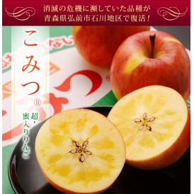 蜜入りりんご『こみつ』特選品(緑箱）青森県石川地区産 約2kg(6～12玉) ※常温 送料無料