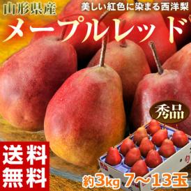 山形県産 紅色に染まる西洋梨 メープルレッド 約3kg（7～12玉） 常温　送料無料 洋ナシ 洋梨 洋なし 