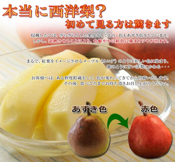 山形県産 紅色に染まる西洋梨 メープルレッド 約3kg（7～12玉） 常温