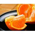 『はれひめ』愛媛県産柑橘 M～3Lサイズ 約5kg　産地箱入　※常温　送料無料