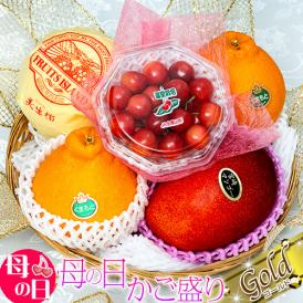 【母の日ギフト】『国産フルーツバスケット Gold』 カゴ盛り 4種 ※常温 カーネーション(造花)・メッセージカード付 送料無料 さくらんぼ マンゴー 柑橘 ははのひ　果物 プレゼント