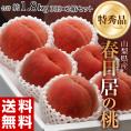 山梨県産 「春日居の桃」 《特秀》 大玉 3玉×2箱 約1.8kg 化粧箱 ※常温 送料無料