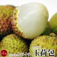 生ライチ 玉荷包  ぎょっかほう 台湾産 約1kg（40〜50個程度）※冷蔵 ぎょくかほう レイシ 茘枝 ライチ