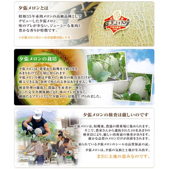 メロン 北海道産 夕張メロン 箱売り　約8kg 優品　4玉入 送料無料 ※常温04