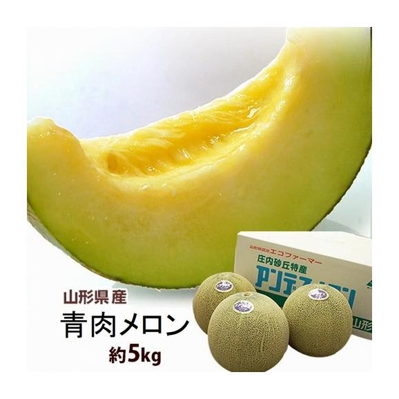 青肉メロン 山形県産 優品~秀品 約5kg (3~5玉) 産地箱 ※常温 送料無料01