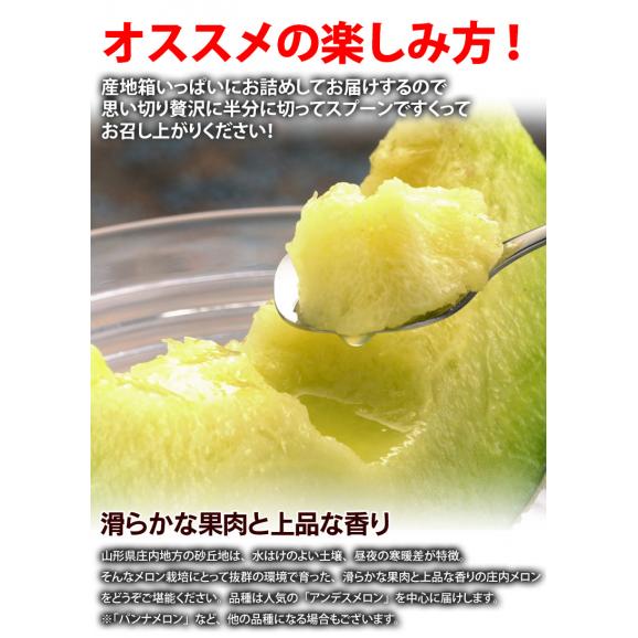 庄内砂丘メロン（青肉） 山形県庄内産 等級：良以上 風袋込 約5kg（3〜5玉入） 2〜4L ※常温 庄内メロン 送料無料03