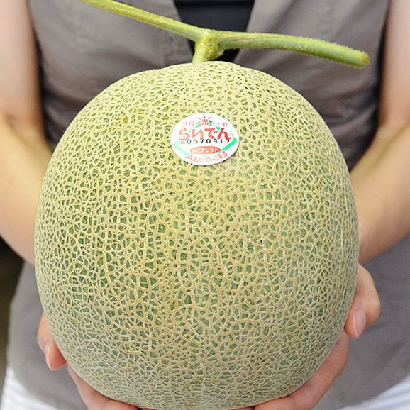 糖度13度以上 メロン めろん 北海道産 らいでんメロン 赤肉 4〜5玉 良品以上 約8kg ※常温　送料無料02