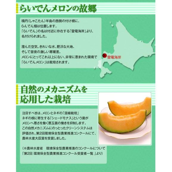 糖度13度以上 メロン めろん 北海道産 らいでんメロン 赤肉 4〜5玉 良品以上 約8kg ※常温　送料無料04