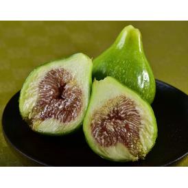富田秀俊さんの青イチジク『キング』佐賀県産 2P 計約600g（1P 約300g 3〜6玉）※冷蔵　送料無料